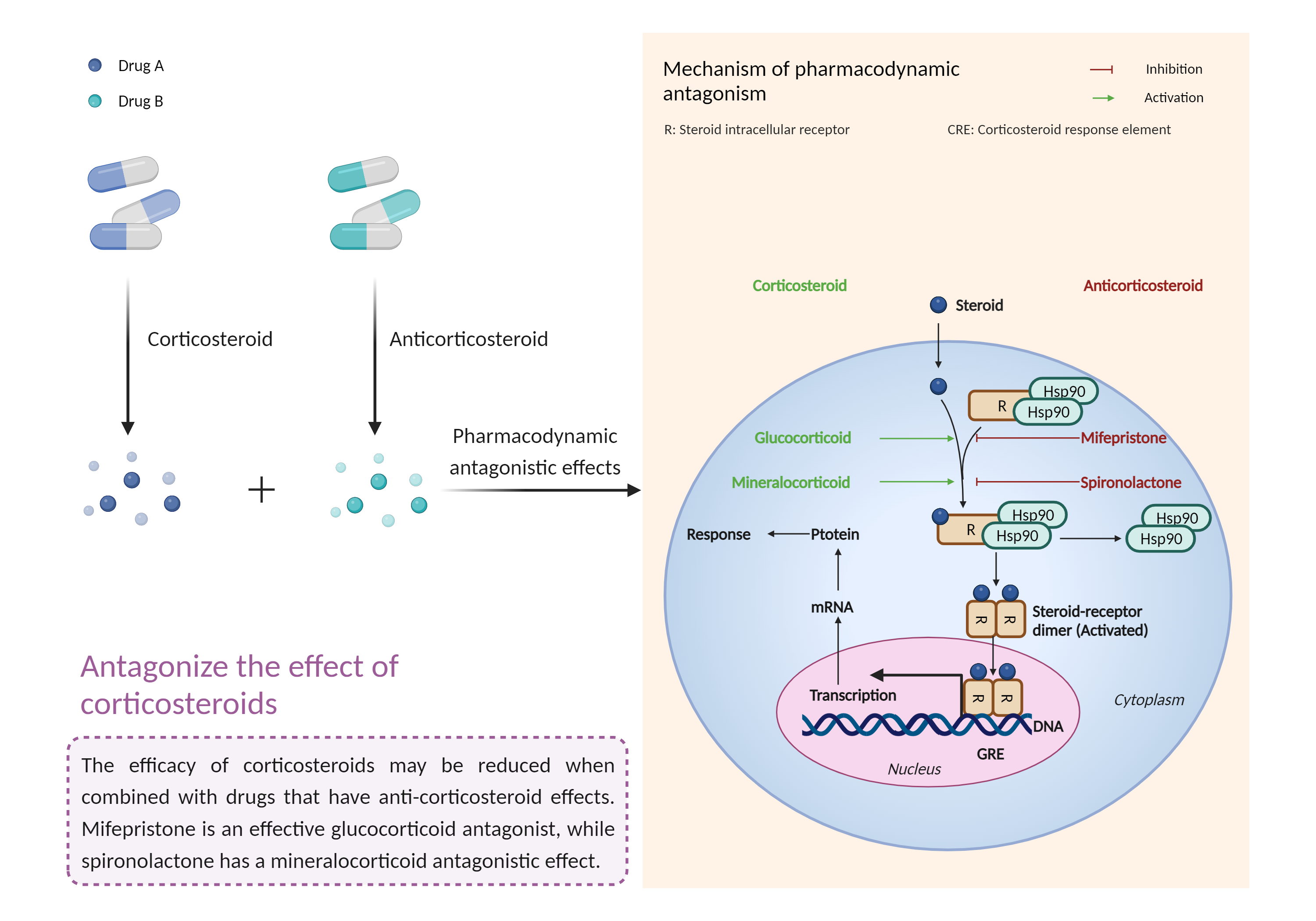 Could Not Find 2D Structure