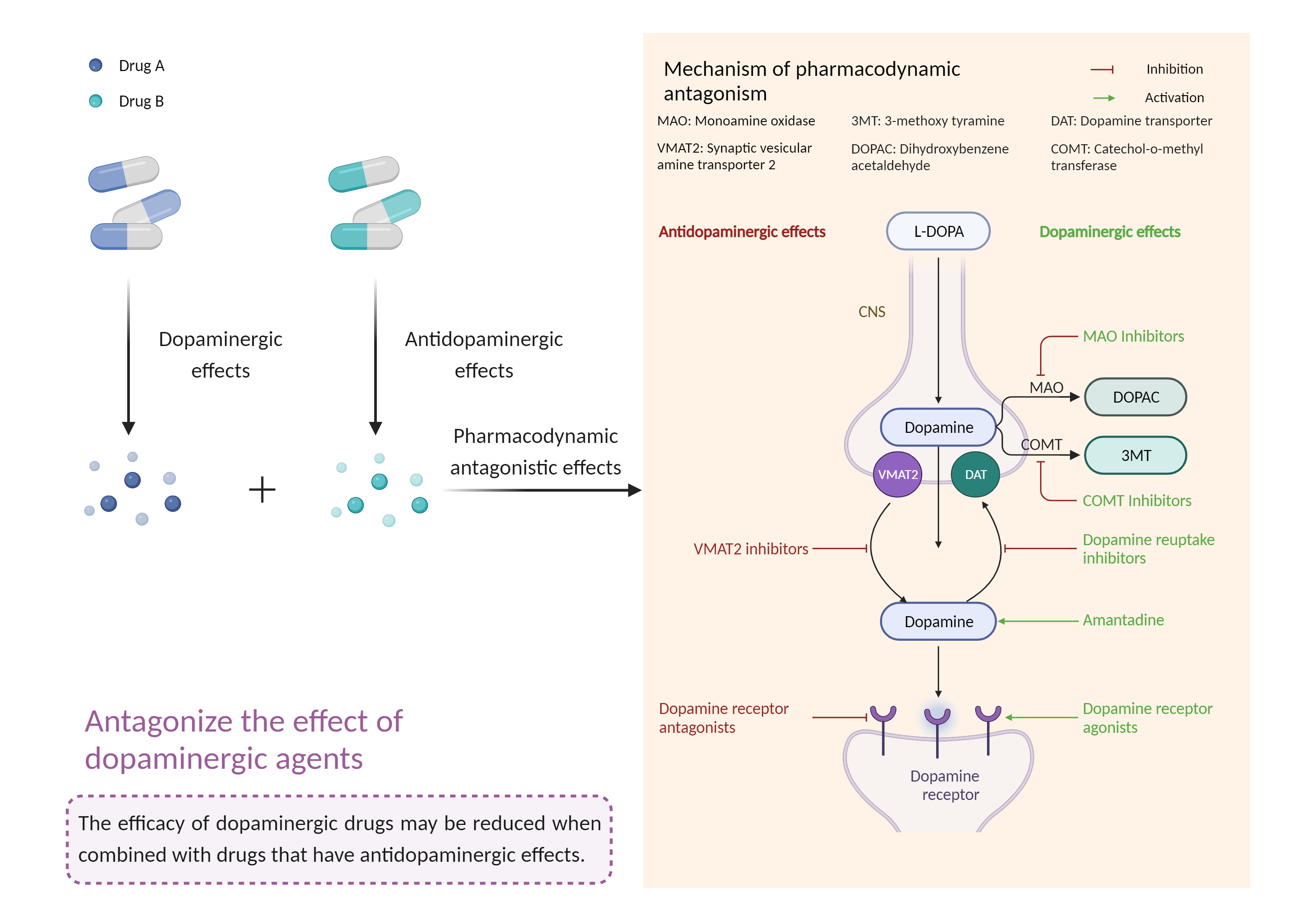 Could Not Find 2D Structure