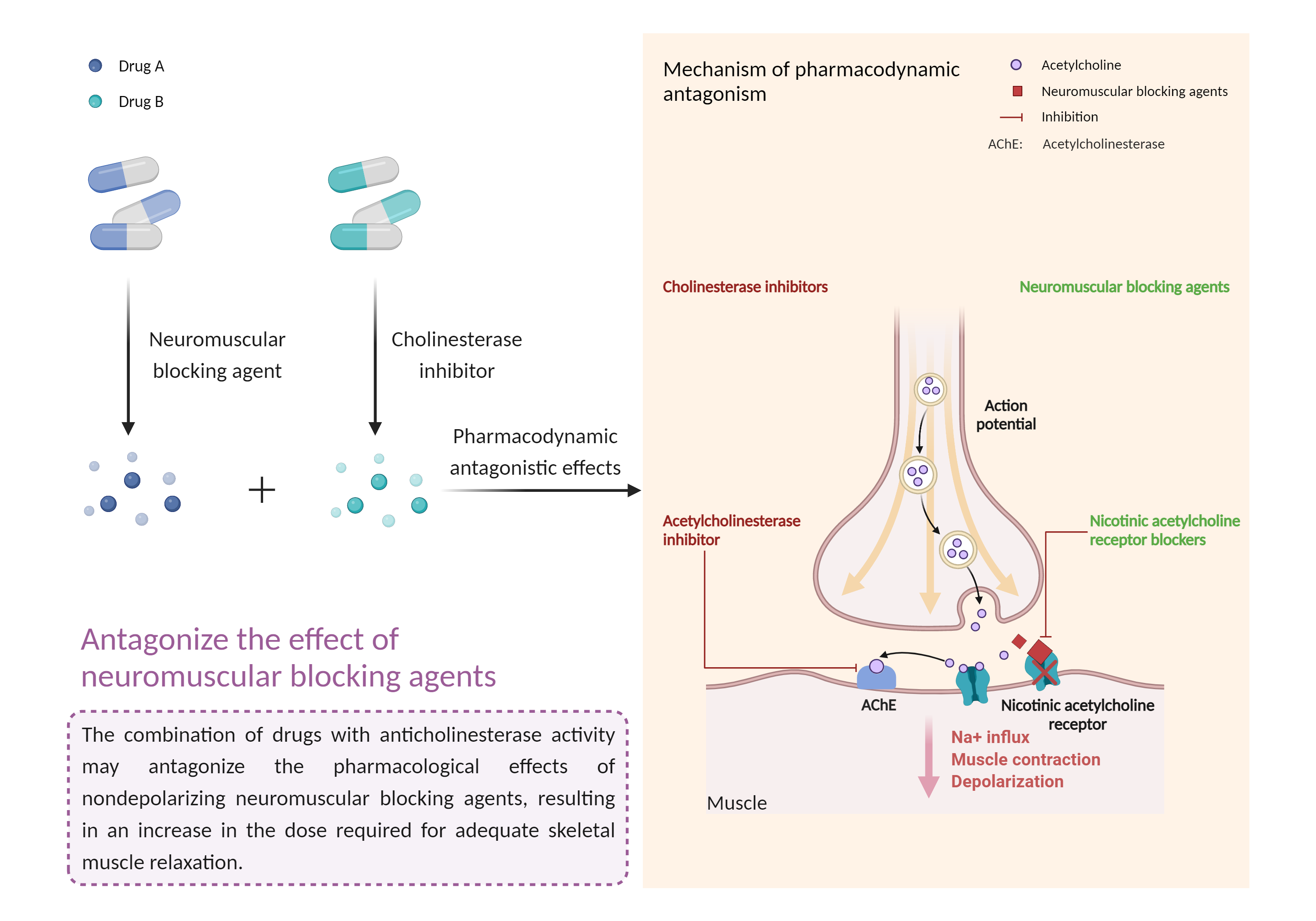 Could Not Find 2D Structure