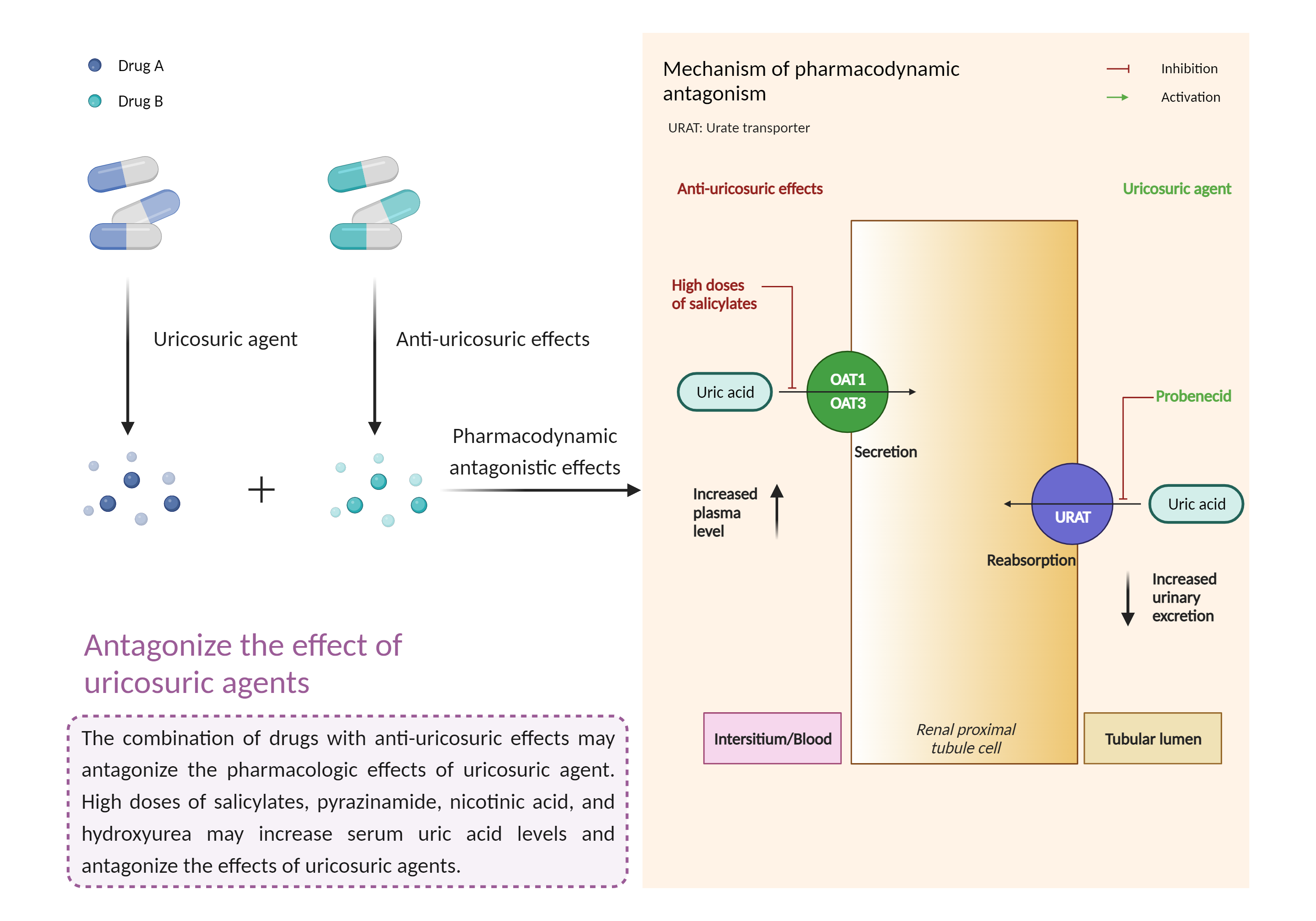 Could Not Find 2D Structure